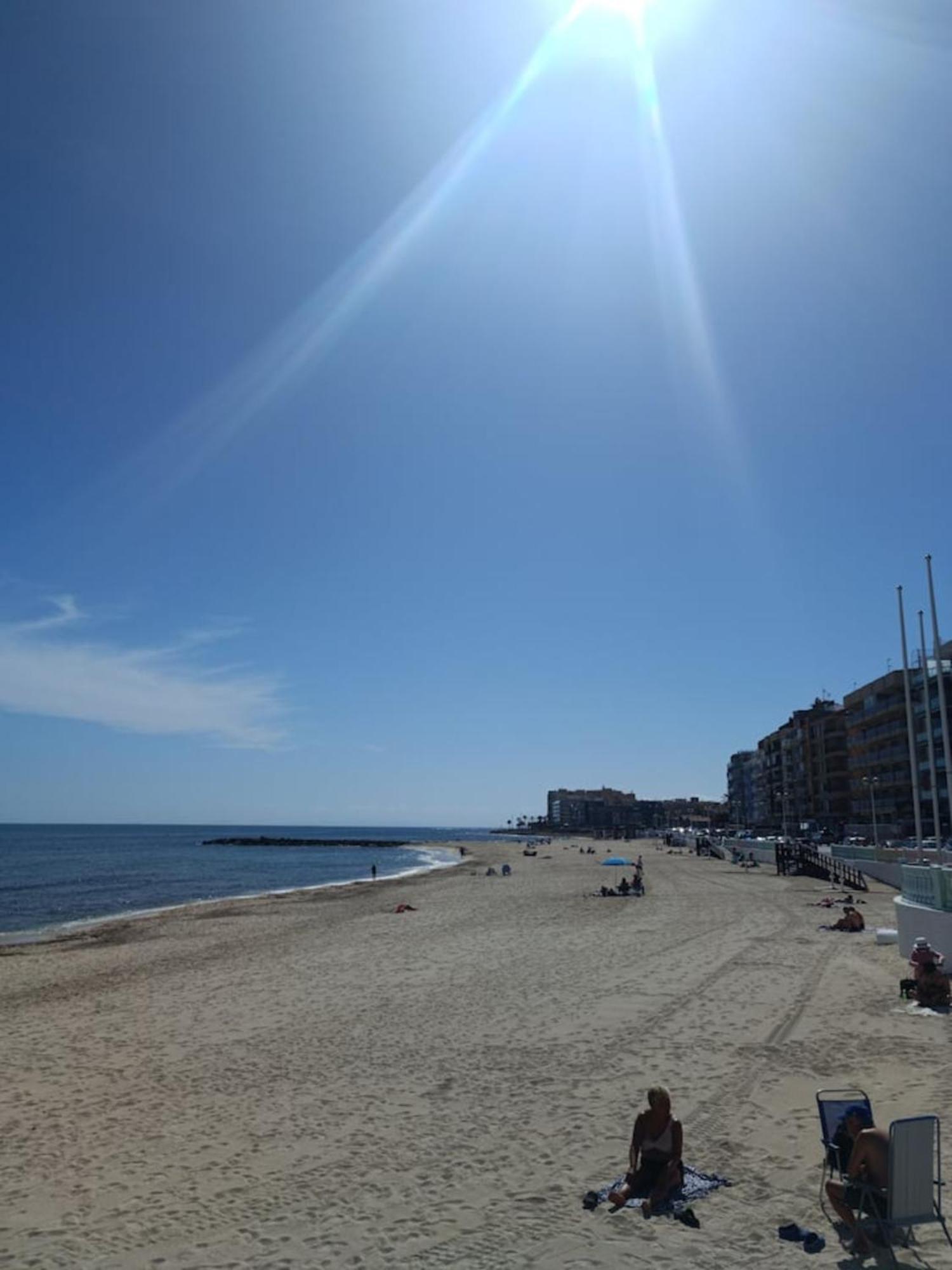 Pmt16 - Large City Apartment On The Beach Torrevieja Eksteriør billede