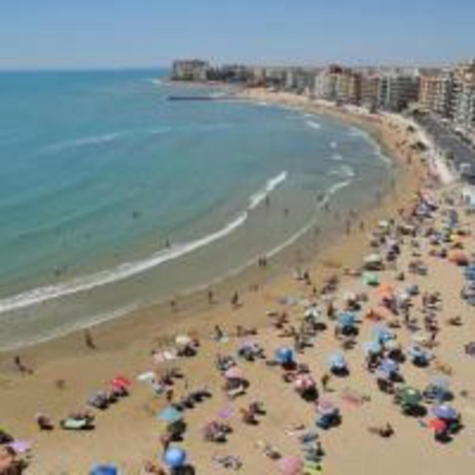 Pmt16 - Large City Apartment On The Beach Torrevieja Eksteriør billede